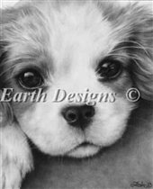 взгляд щенка