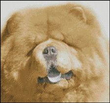 чау чау от Е.Д.