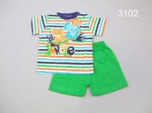 Костюм-двойка для мальчиков (Z13-3102)