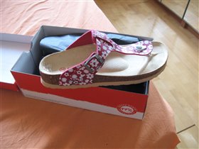 ПРИСТРОЙ СФ