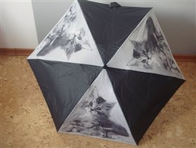 L510 серый котенок