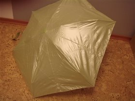 L501 блестящий фисташковый