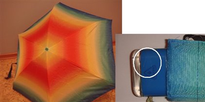 L501 радужный