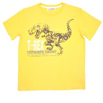 Футболка для мальчиков (KBS13-93151)