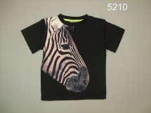 Футболка для мальчиков (Z13-5210)