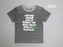 Футболка для мальчиков (Z13-5223)