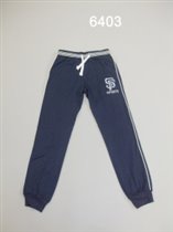 Брюки для мальчиков (Z13-6403)