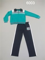 Спортивный костюм для мальчиков (Z13-6003)