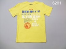 Футболка для мальчиков (Z13-6201)