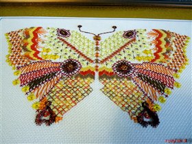 Бабочка готова