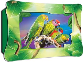 Объемная картинка 'Ожереловые попугаи' Для детей о
