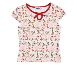 футболка zeplin 