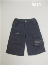 Бриджи для мальчиков (Z13-8019)