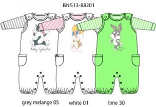 Костюм-двойка (BNS13-88201)