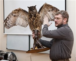 Международный день птиц в Дарвиновском музее