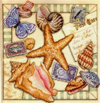 35242 Shell Collection