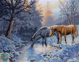 35294 Frosty Morning