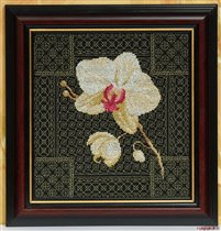 Орхидея. Восточный аромат