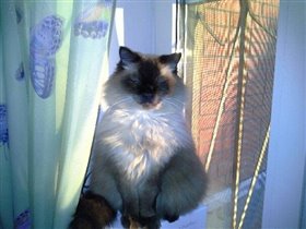 Наш Оскар!!!