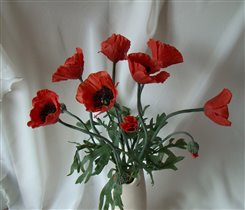 Красные маки