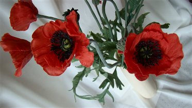 Красные маки