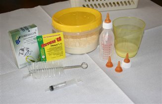 арсенал для вскармливания 