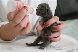 а так мы его заканчиваем 