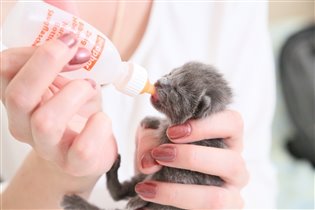 бутылочку стОит держать под углом