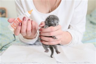 объект и субъект:-)) в соразмерности;-)