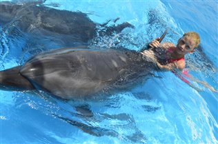 Катя и  дельфины