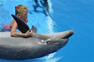 Катя  и  дельфины