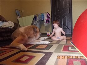 мы с тобой одной крови