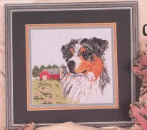 Australian shepherd (Dog Collection 7)