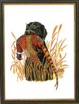Black Lab With Pheasant  E R