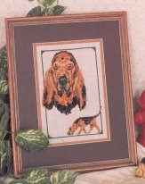 Bloodhound (Dog Collection 7)