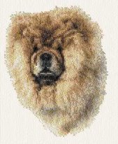 chow-chow
