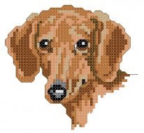 dachhund -pat.format