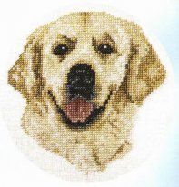 Golden Retriver (Jill Oxton)