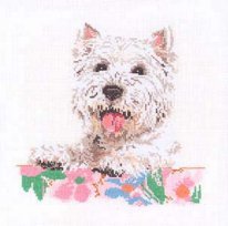 westy eva rosenstand