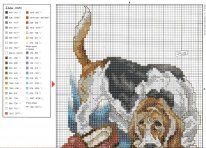 Бассет, Колли, Коккер