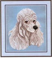 белый пудель