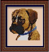 боксер по моему очень несчастный