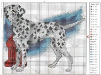 далматин доберман голден