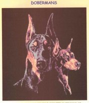 Доберманы