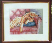 Друг голден