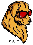 золотистый ретривер в очках