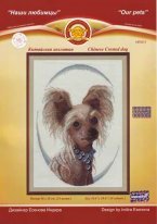 Китайская хохлатая собачка