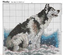 лайка, ротвейлер