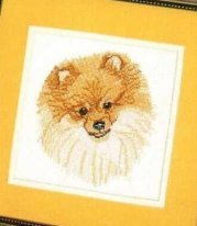 мордочка ШПИЦА