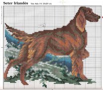 сеттер, лабрадор, нем. овчарка